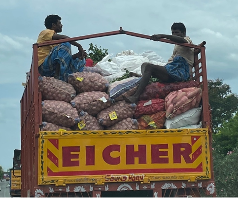 Agricultural truck carrying potatoes